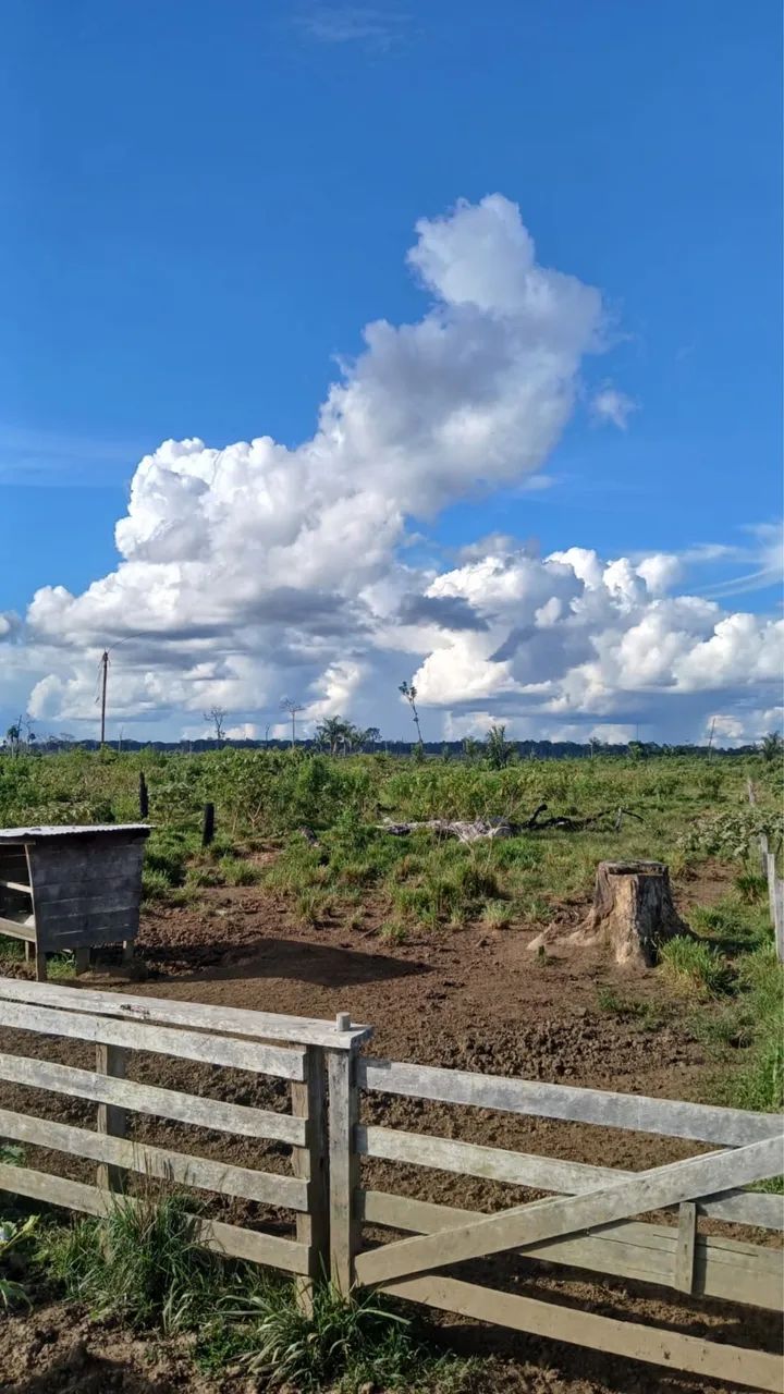 Vende-se fazenda com 200 hectares - Foto 2