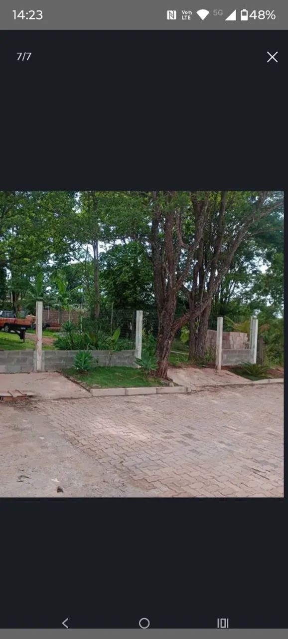 Foto - Brasília - Jardins Mangueiral (Jardim Botânico)