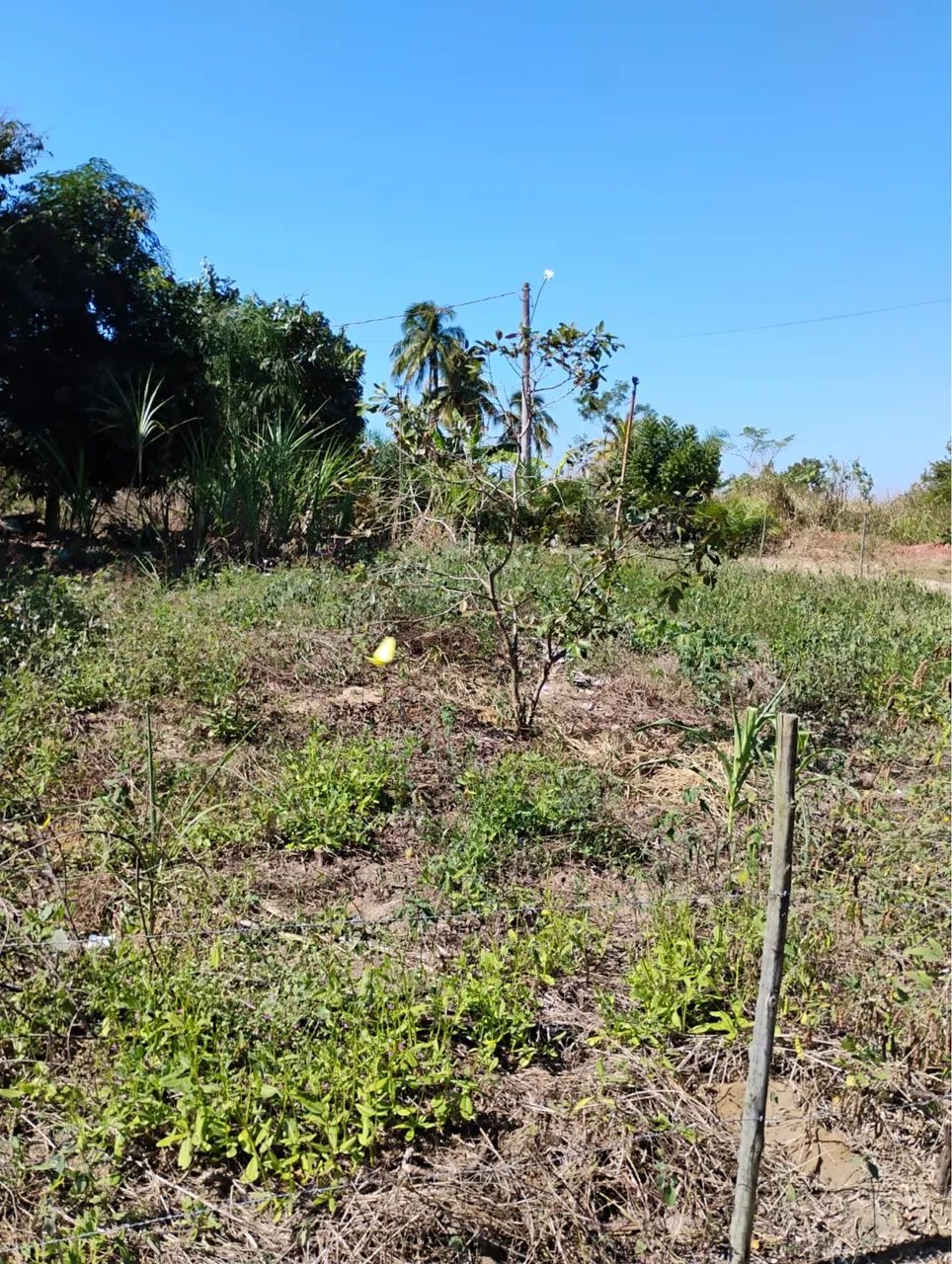 Terreno  de esquina Povoado de garrafão  - Foto 2