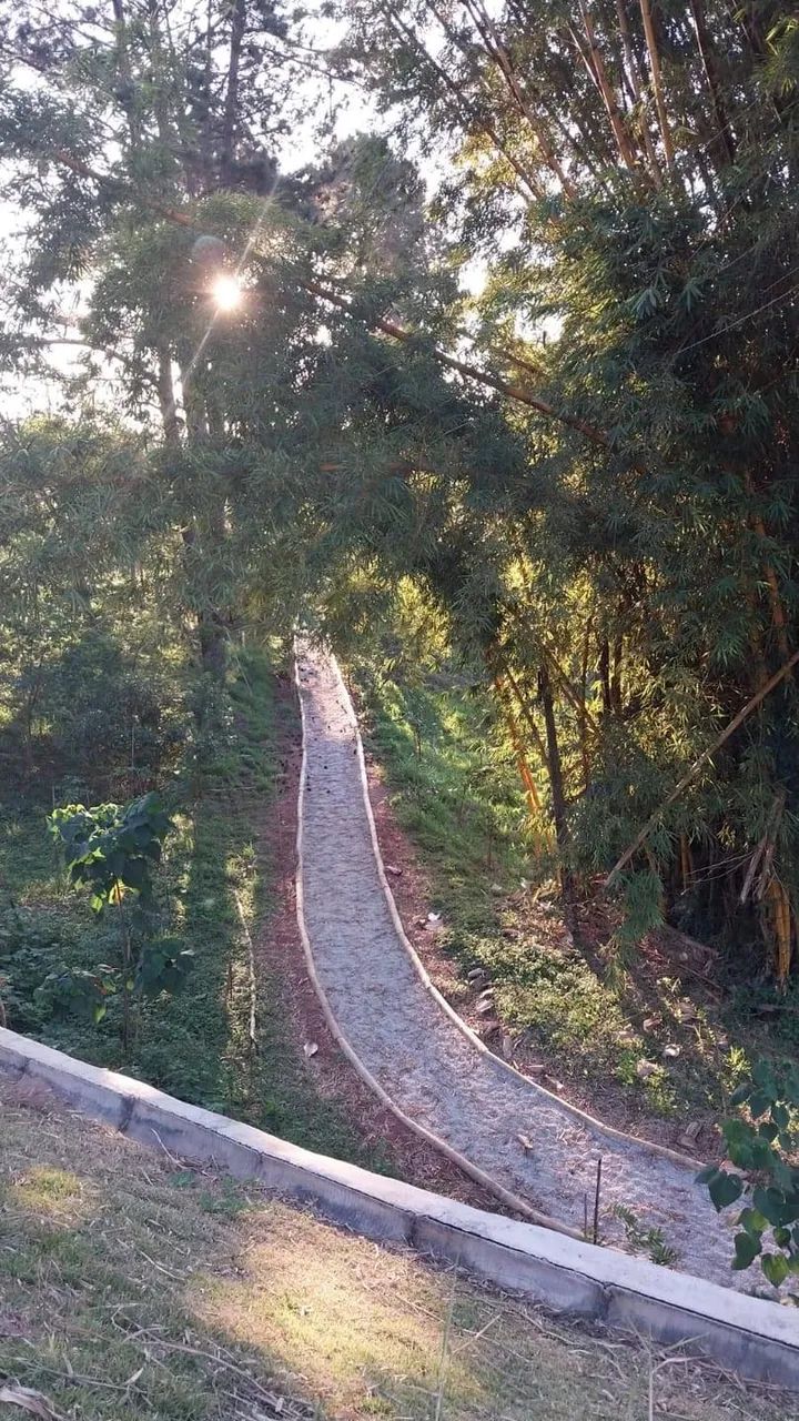 Terreno à venda, Parque Alexandre, Cotia, SP - Foto 5