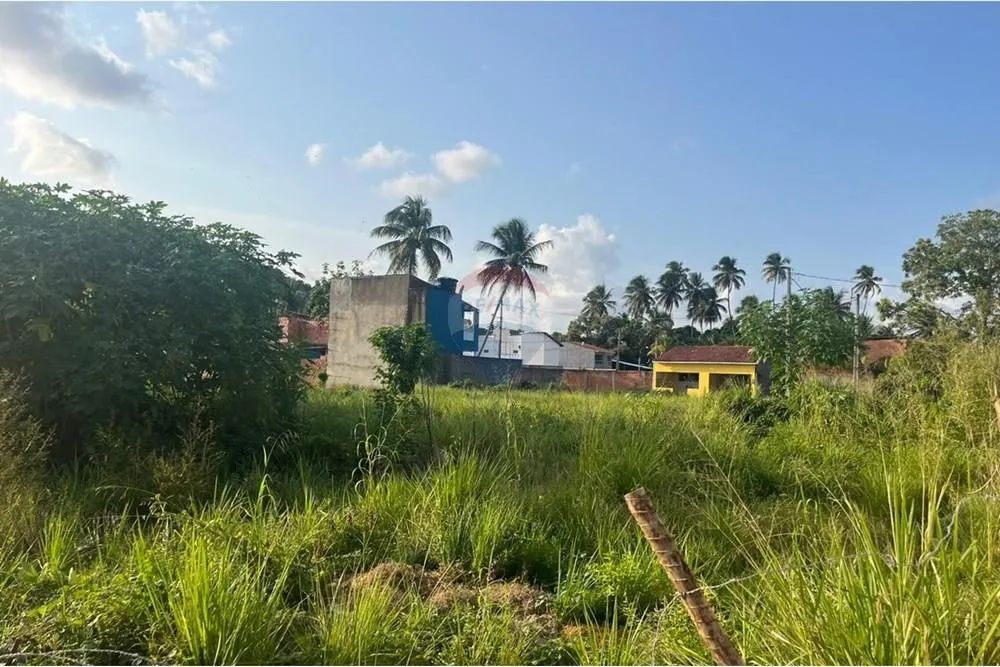 Terreno á venda São Miguel dos Milagres - Foto 10