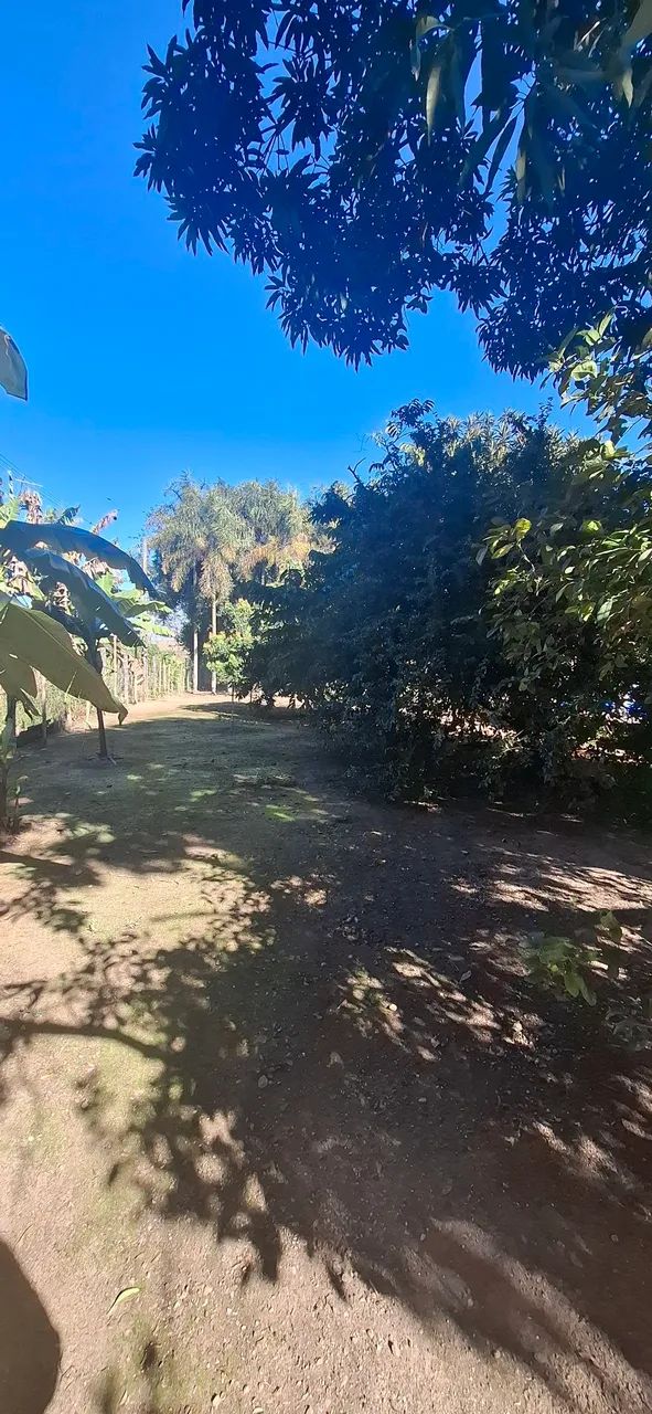 Rancho fundo rio Mogi Guaçu 
