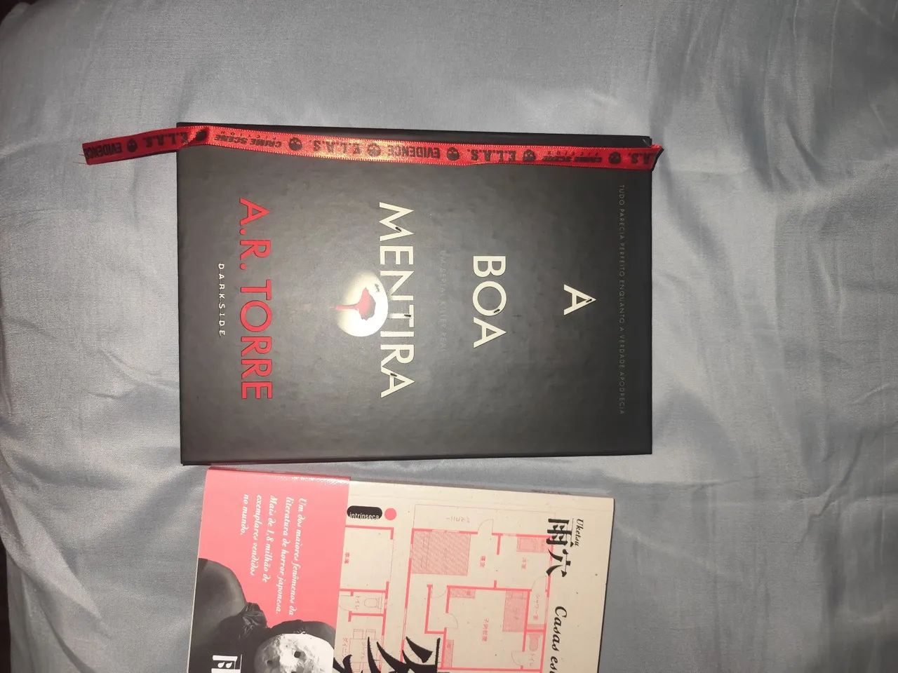 A boa mentira da darkside e casas estranhas - Foto 2