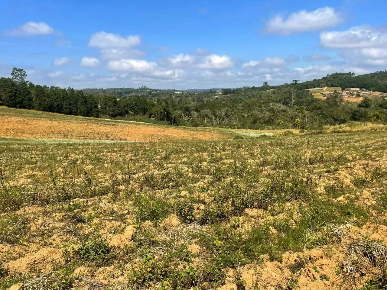 - PERTO DE TUDO QUE VOCÊ PRECISA - Foto 3