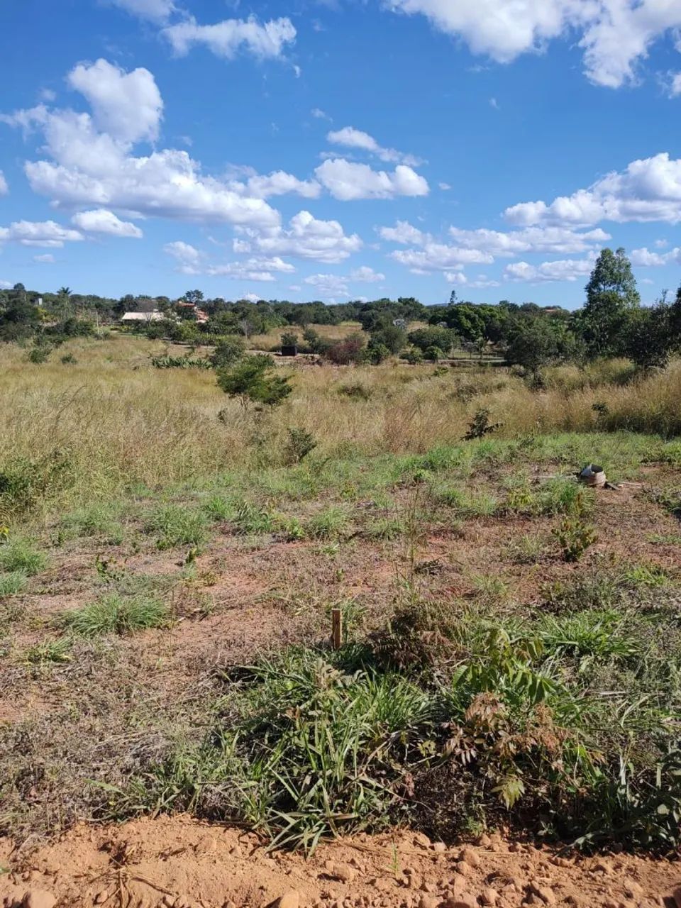 Excelente chácara em Montes Claros  - Foto 5
