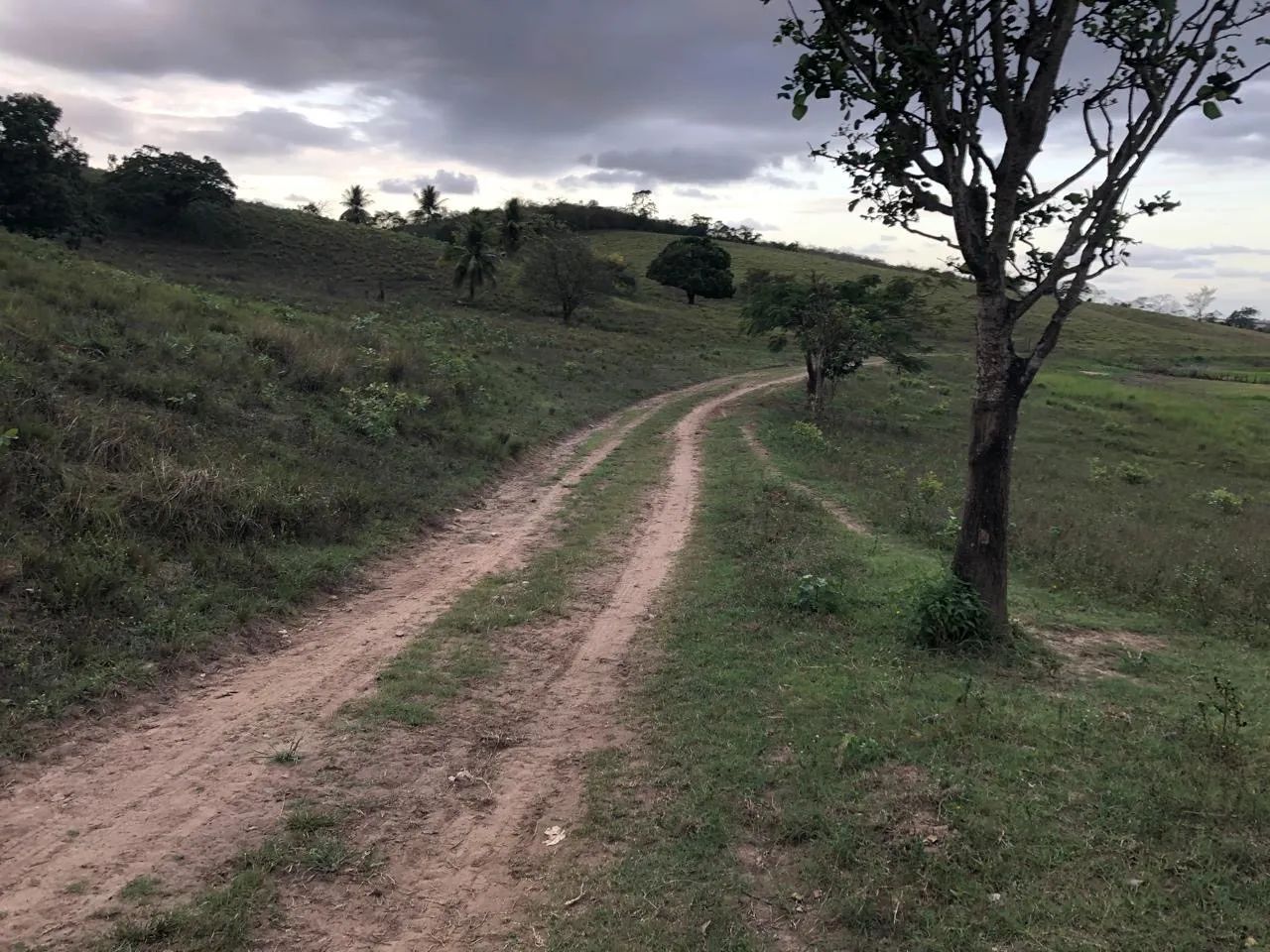 Vendo Fazenda em Guarabira PB - Foto 4