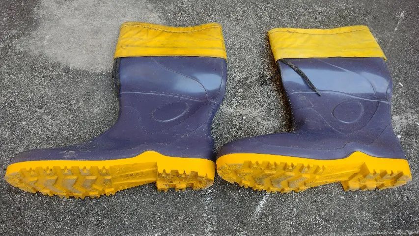 Bota botina