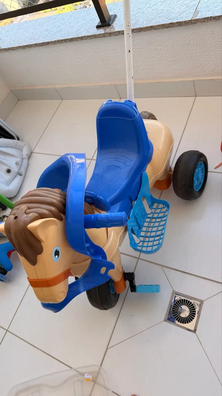 Cavalo moto e passeio