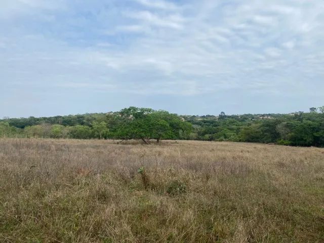  Chácara de 20.000 m² toda cercada, com riacho nos fundos, Jaboticatubas. - Foto 3