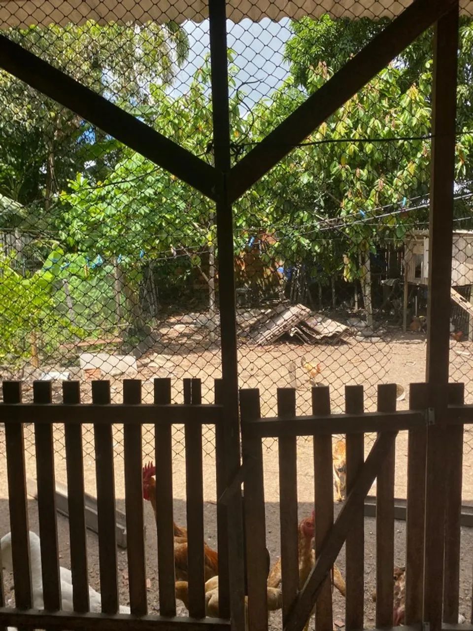 Casa em Benevides, 3 quartos  - Foto 3