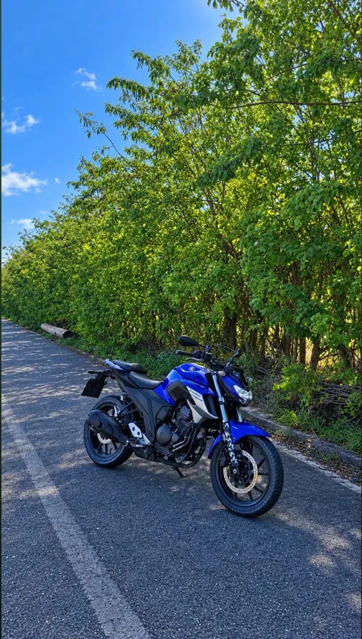 Fazer 259