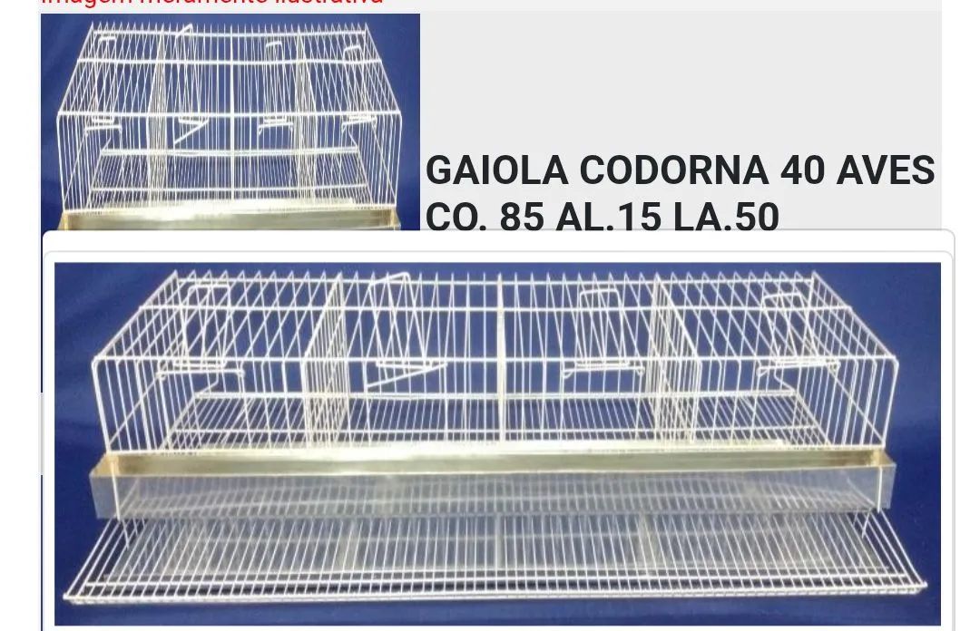 Gaiola para codornas  - Foto 2