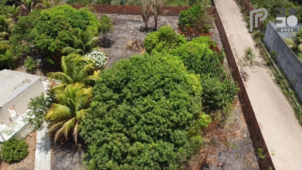 Área à venda, 2800 m² por R$ 700.000,00 - Araçagy - São José de Ribamar/MA - Foto 2