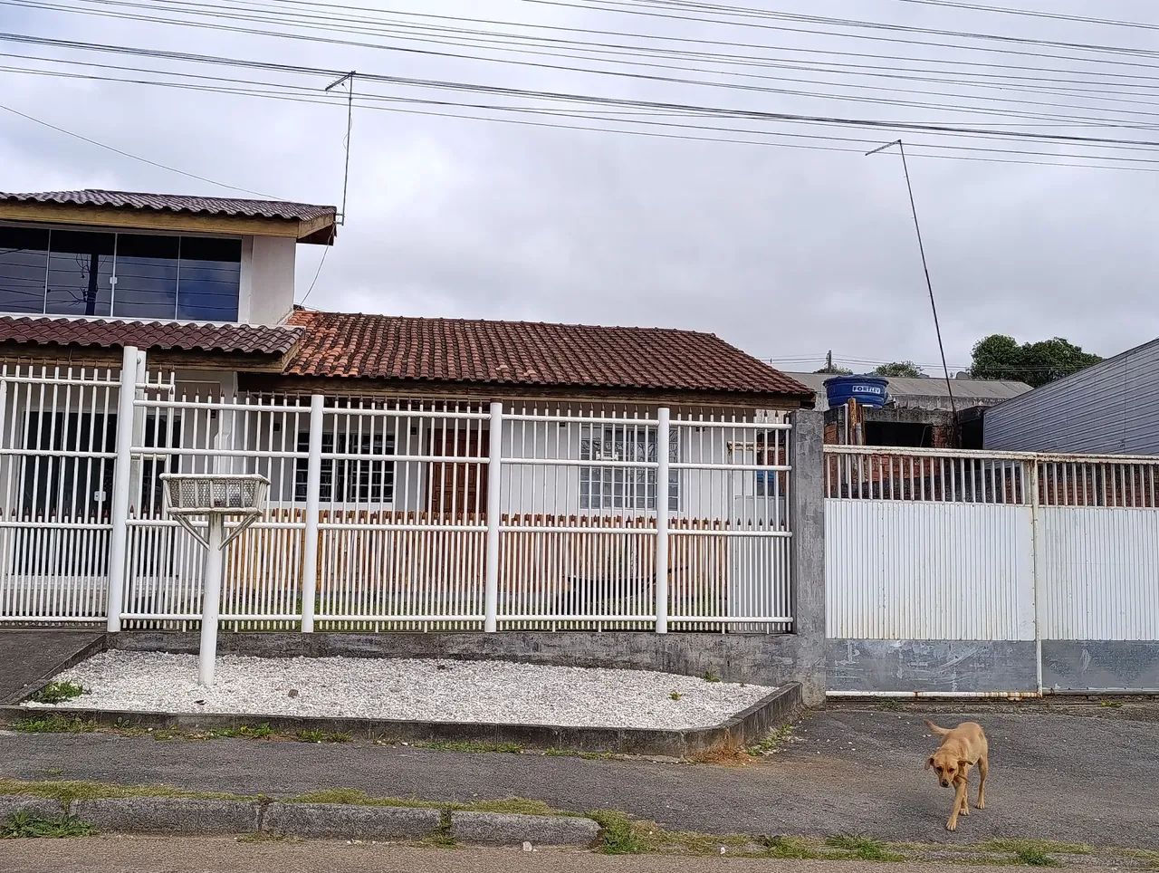 Foto - Campina Grande do Sul - Araçatuba