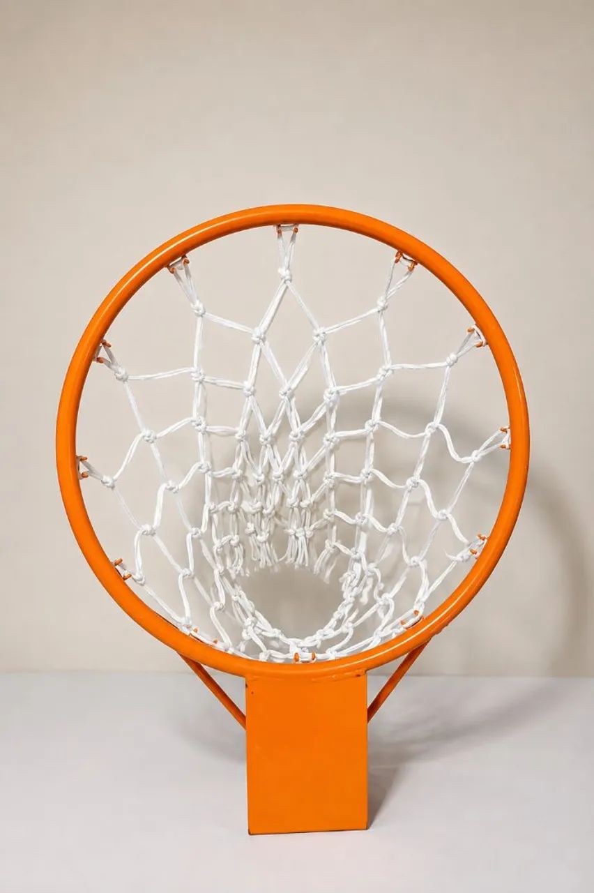 Aro de Basquete com Rede - Completo 