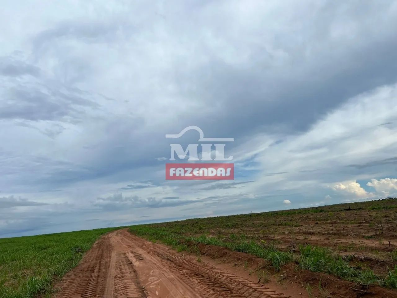 ARRENDAMENTO AGRÍCOLA CENTENÁRIO  TO 2.600 Hectares - Foto 2