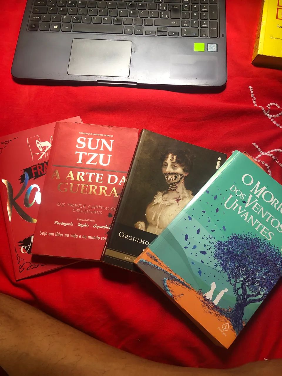 Clássicos Literários 