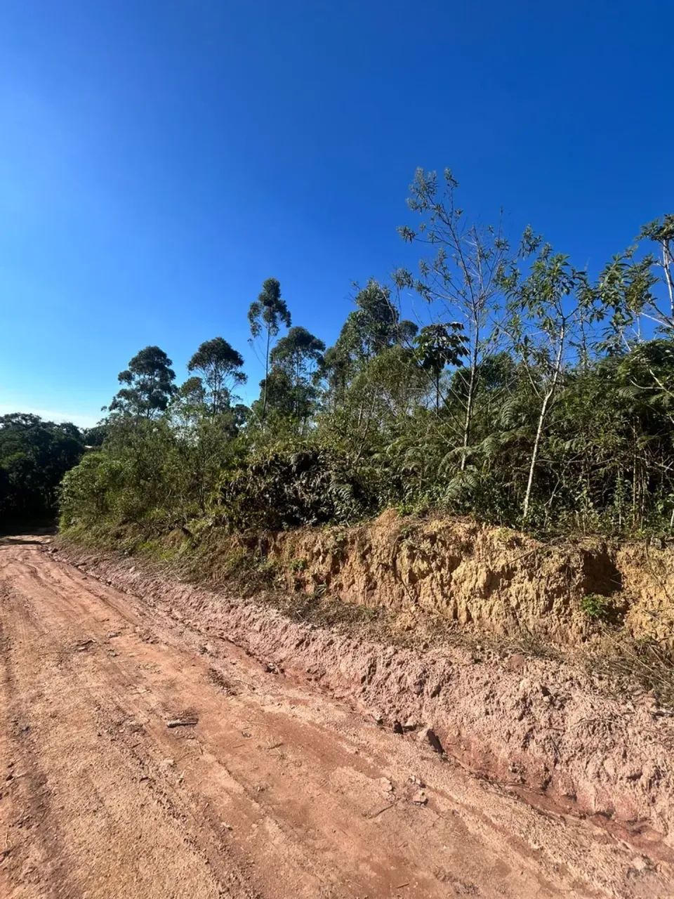 Conheça um lote de 1.000m² em localização privilegiada - Foto 4