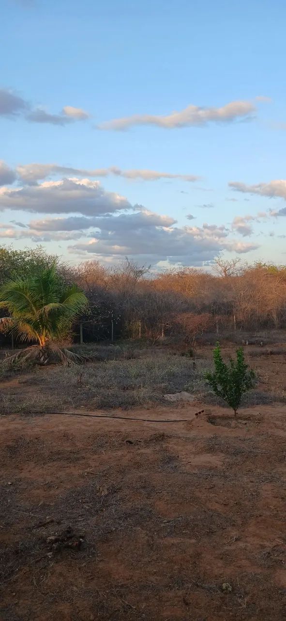 Fazenda Tocasul - Foto 3