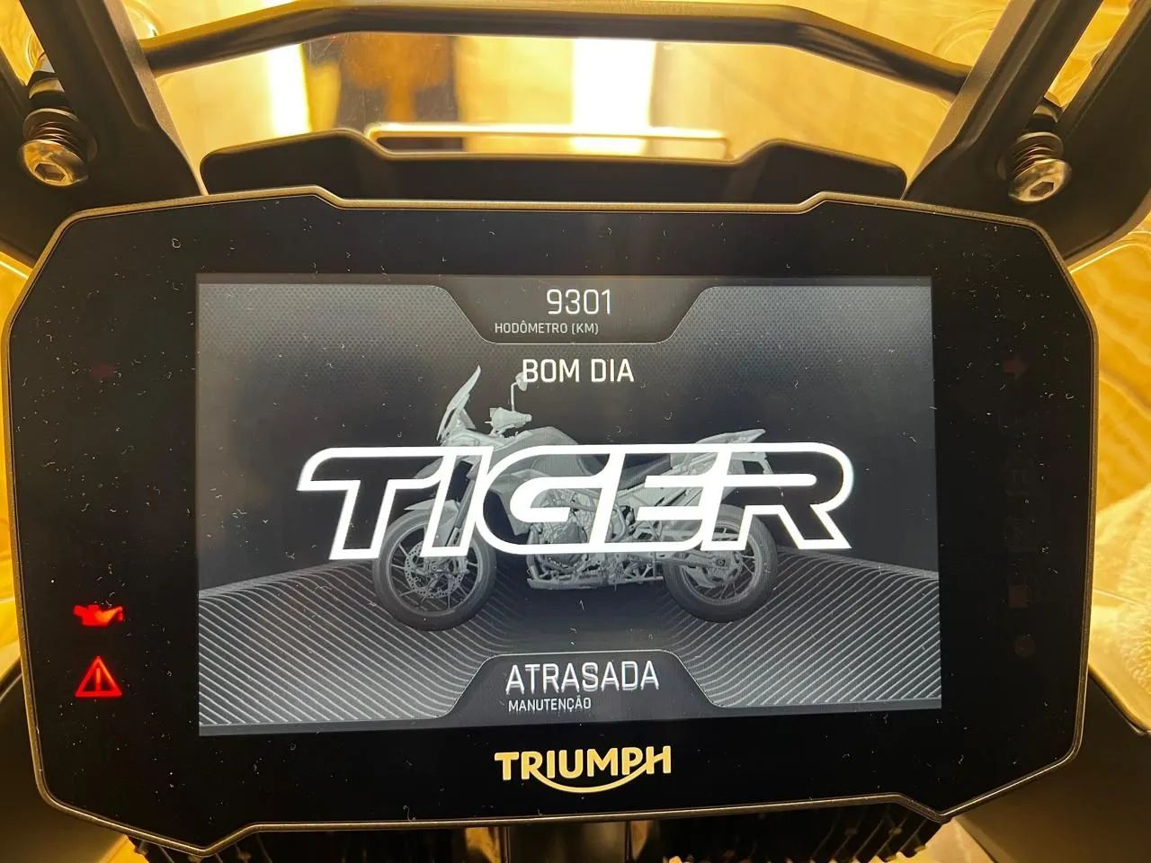 Tiger rally pro 900  - Foto 5