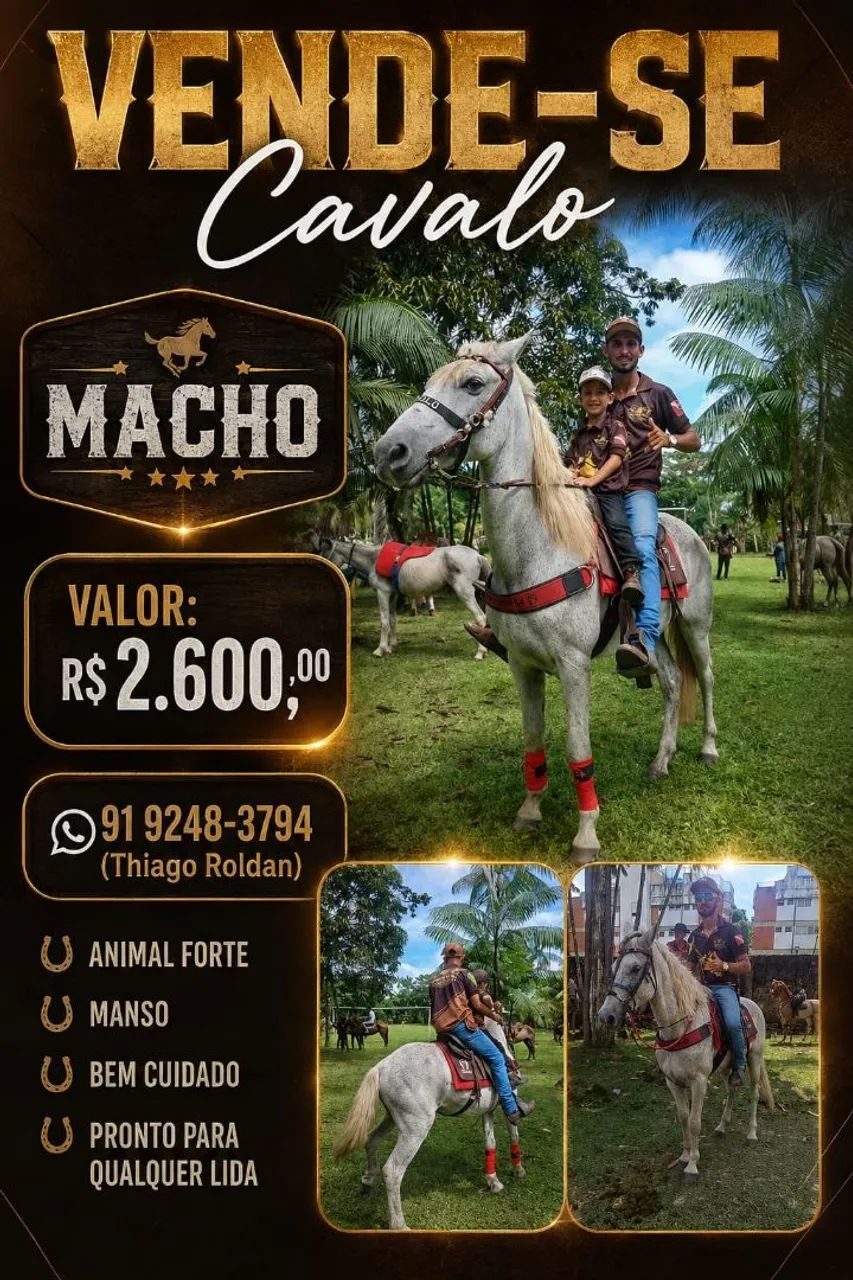 Cavalo Manso