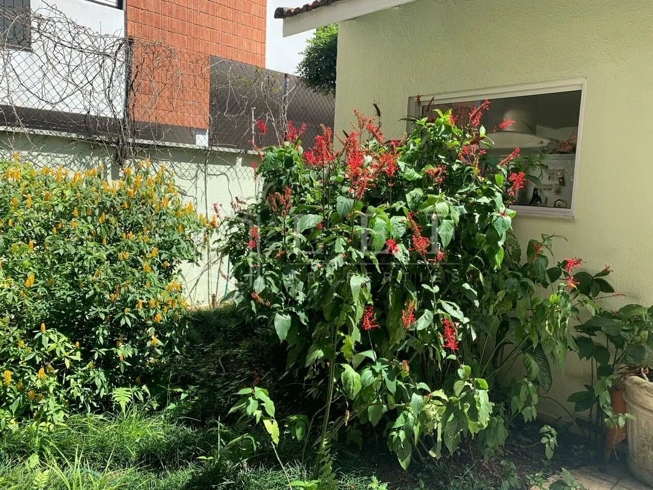Rua Manduri - JARDIM PAULISTANO - Foto 3