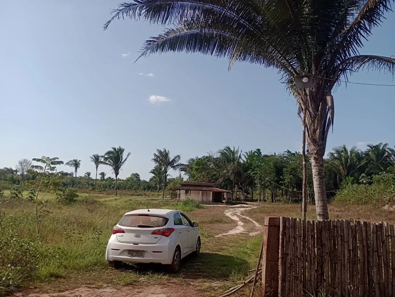 FAZENDA EM BACABEIRA - Foto 3