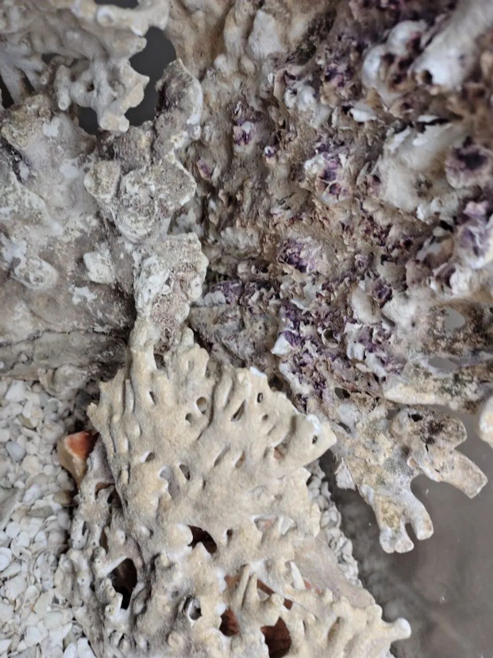 Móvel Aquário  - Foto 4