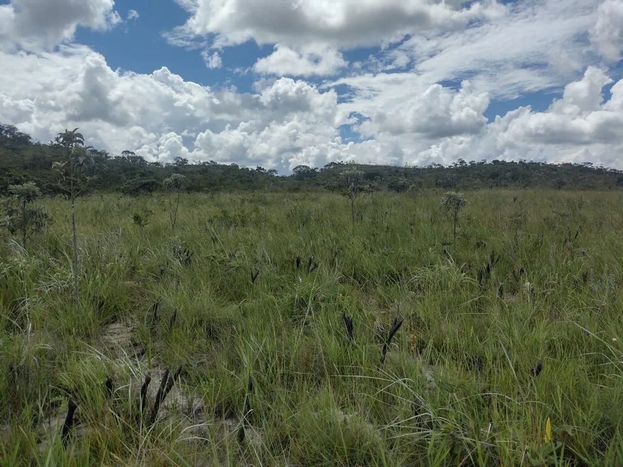 Foto - Trindade - Recanto do Lago