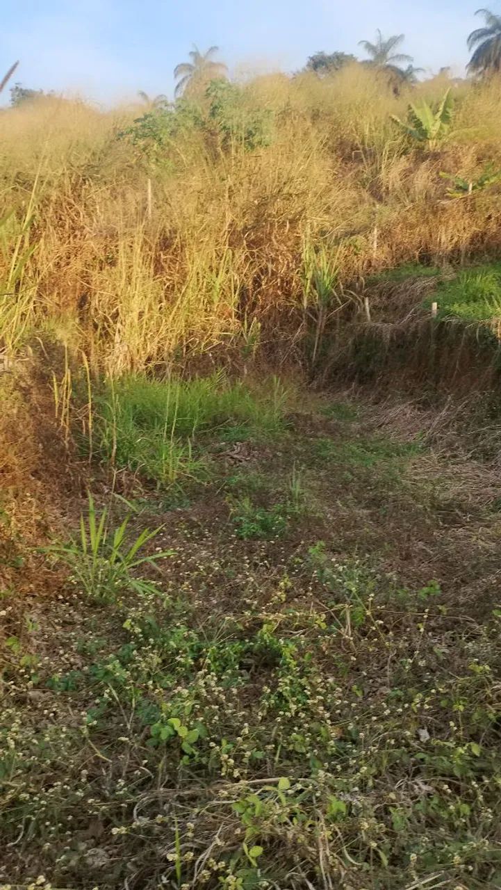 Lote em Ibirité  - Foto 5