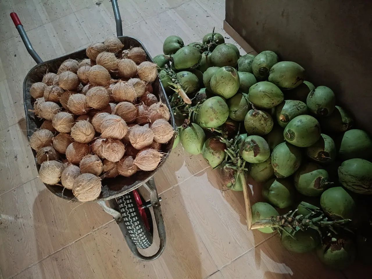 Venda  - Foto 2
