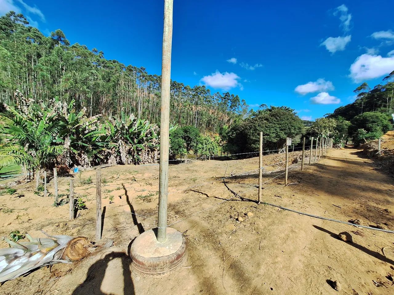 Chácara  - Foto 5