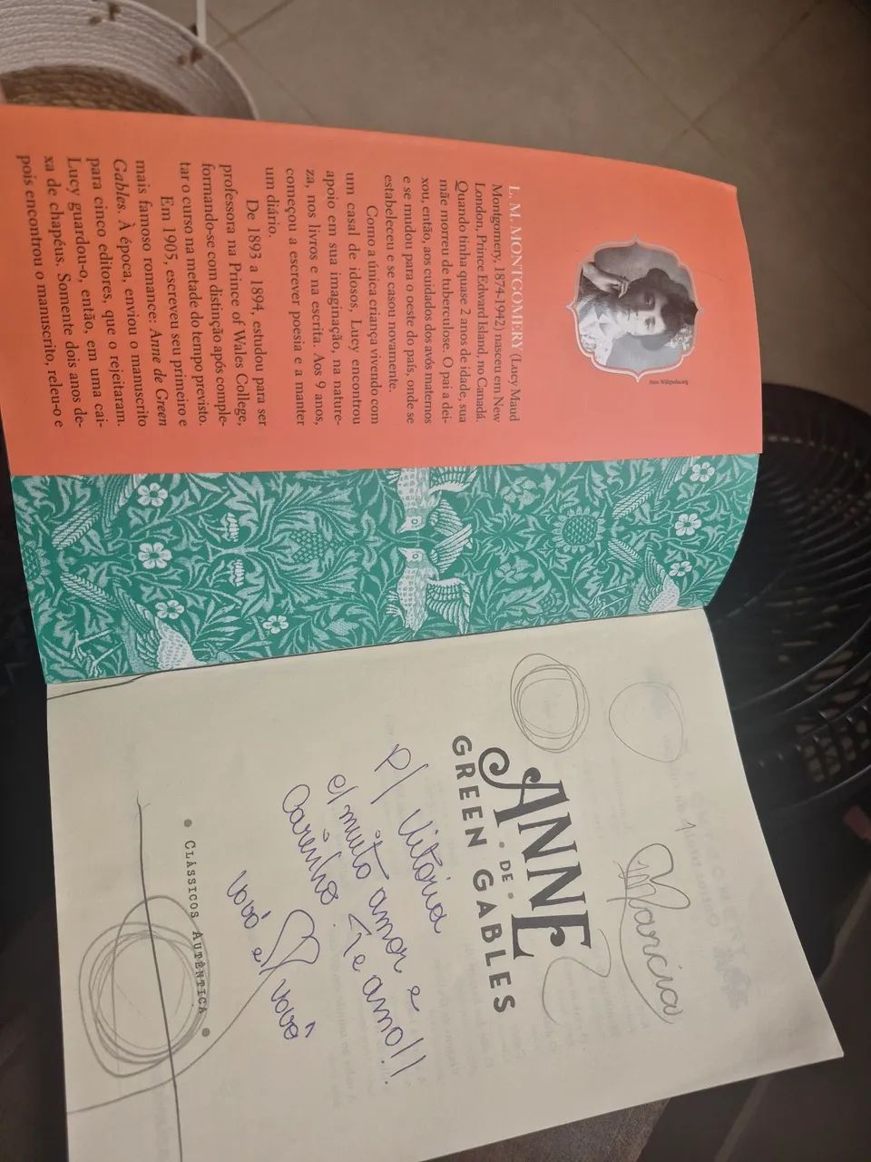 Livro Anne - Foto 2