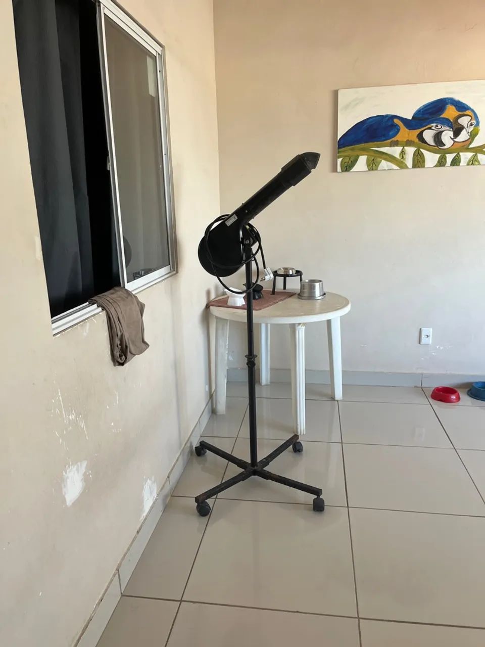 Soprador para Banho e Tosa