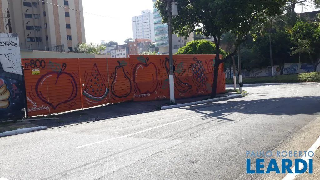 TERRENO - ACLIMAÇÃO - SP - Foto 4