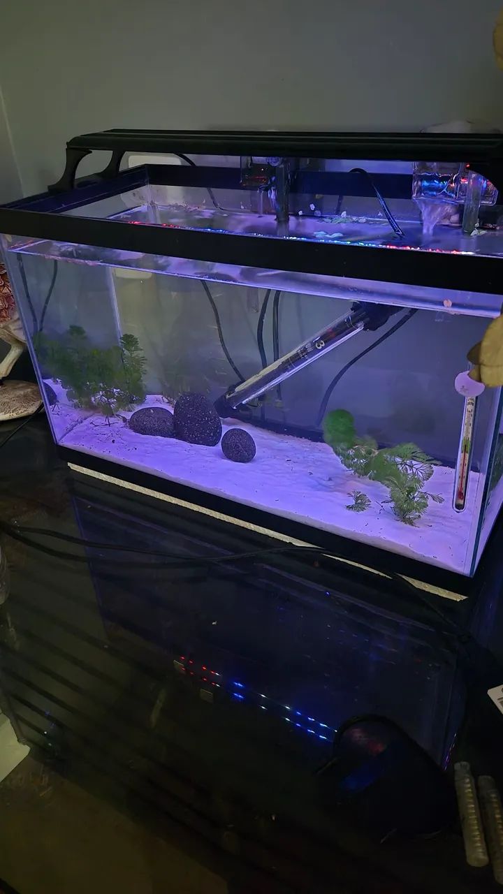 Aquario 30L completo top