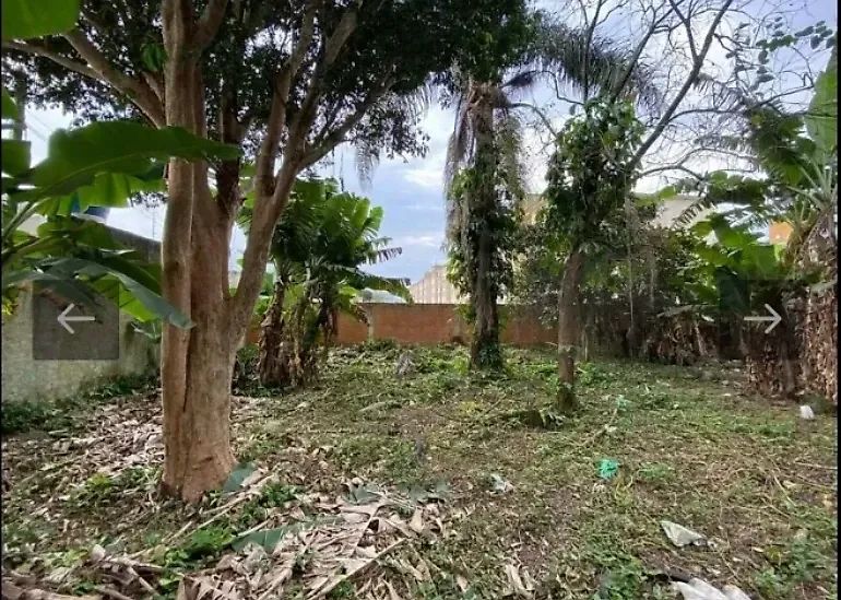 Terreno à venda no Pachecos  Palhoça/SC - Foto 3