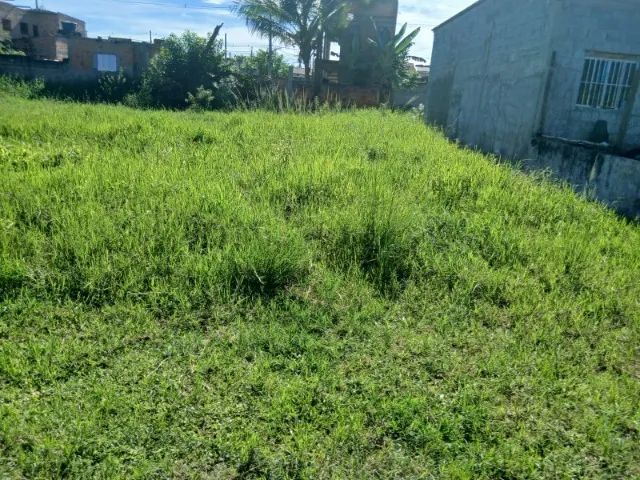 Foto - Caraguatatuba - Pegorelli