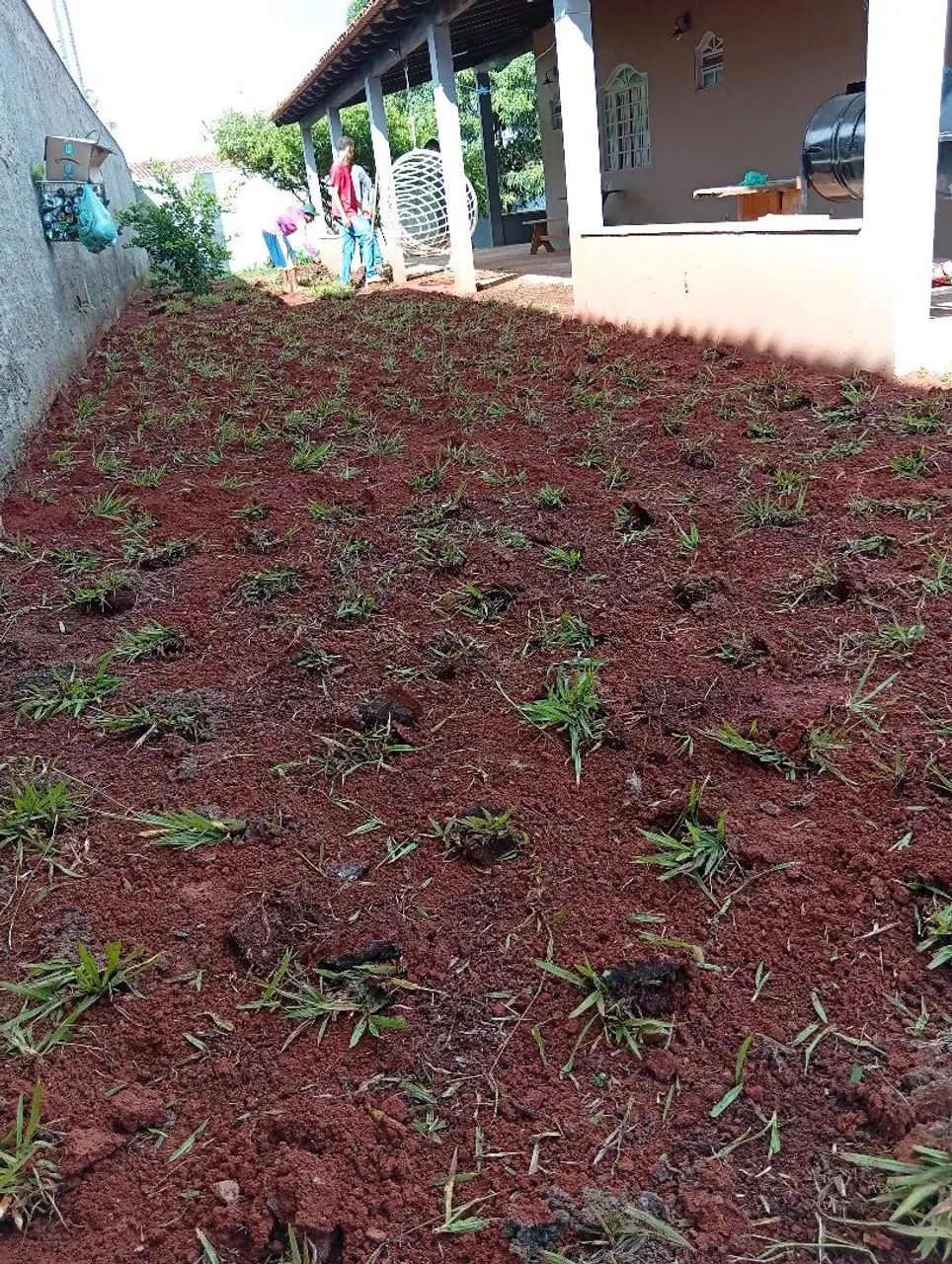 Está procurando uma grama boa e barata e com a gente!