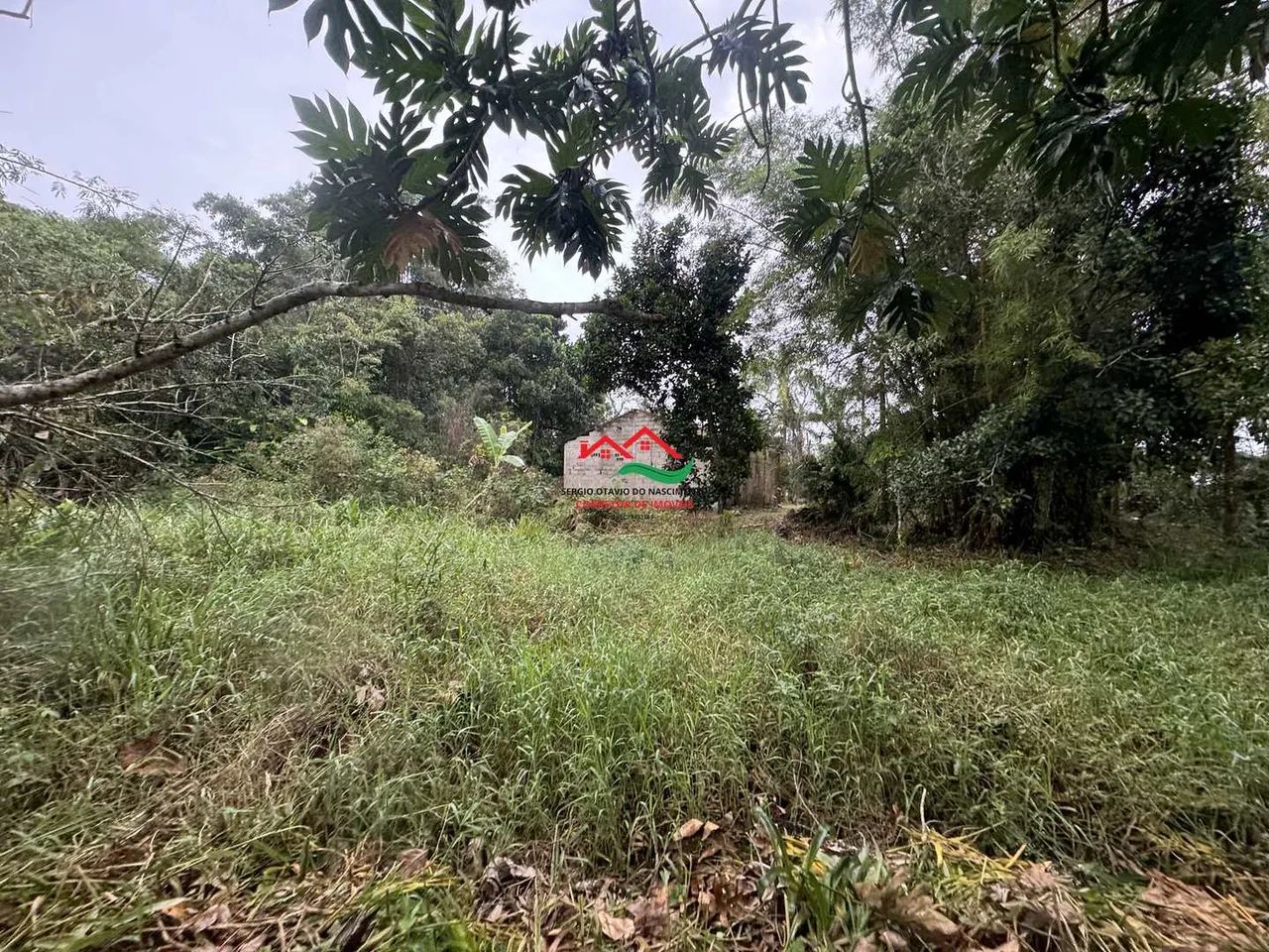Chácara, Ana Dias, Itariri - R$ 159 mil, Cod: 1006 - Foto 3