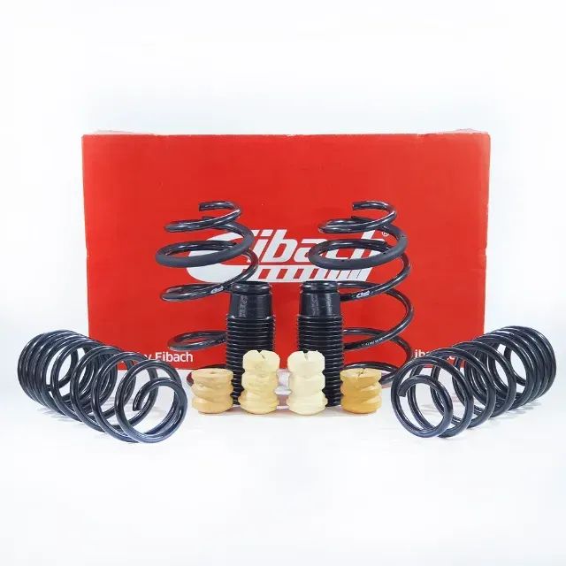 Eibach Molas - Pró Kit - Sportline - Pronta Entrega - Peças para