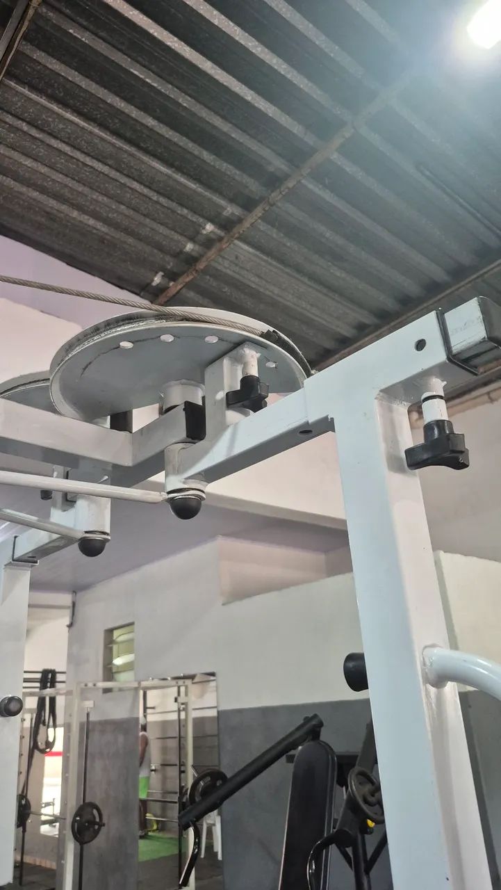 Voador dorsal - Foto 4