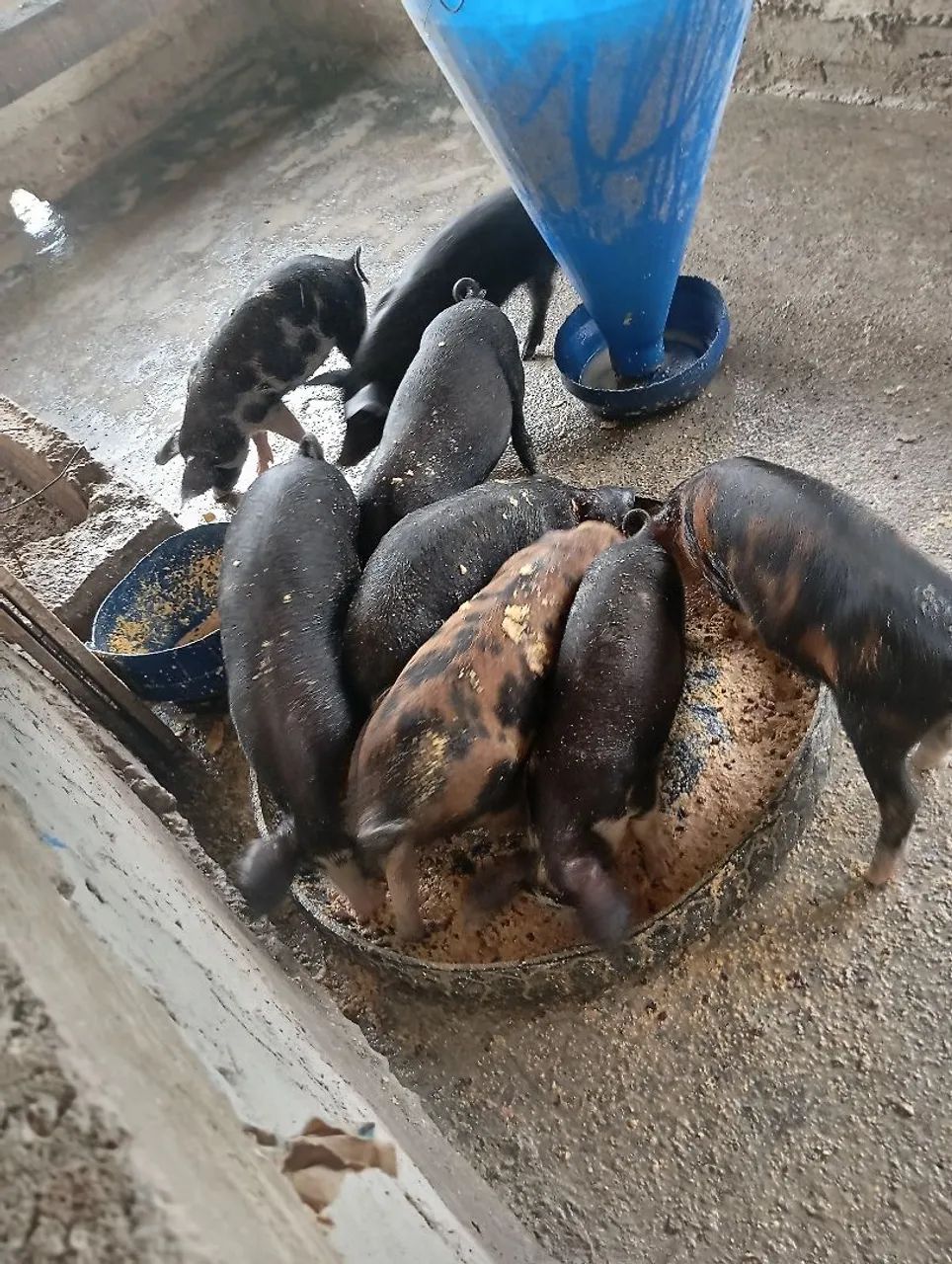 Vendo parte ideal de chácara 