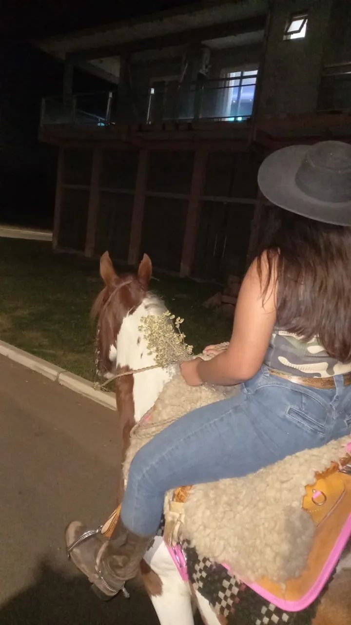 Lindo Cavalo Crioulo Tobiano, jovem, manso e bem domado, Castrado. - Foto 3