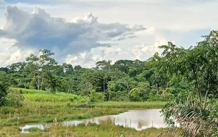 Chácara com casa - Foto 3