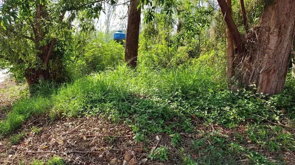 Terreno à venda no Parque do Terceiro Lago - Foto 2