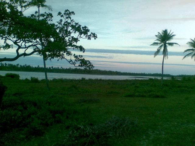 Fazenda 500ha - Foto 18