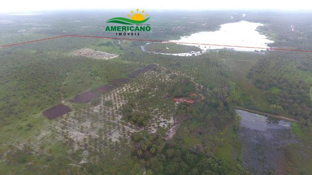 Fazenda 500ha - Foto 3
