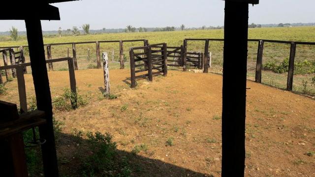 Vendo Linda Fazenda de frente a estrada - a 30 km de porto velho/Ro - Foto 17