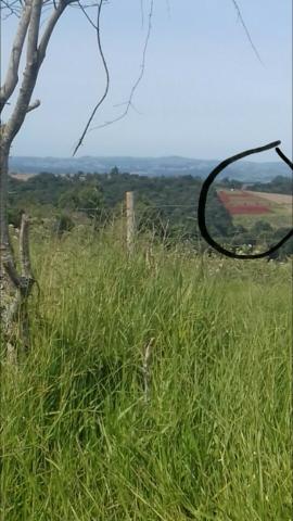Excelente área de 17 alqueires perto de Santa Maria do Oeste - Foto 8